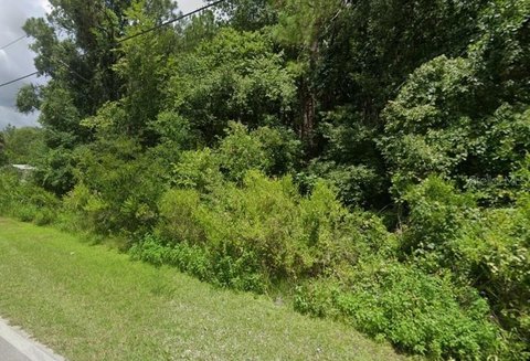 LAND - NEW PORT RICHEY, FL