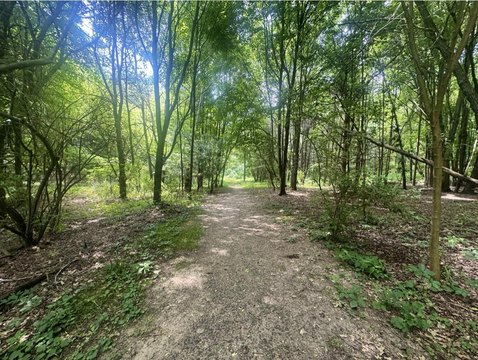 LAND - Greenville, MI