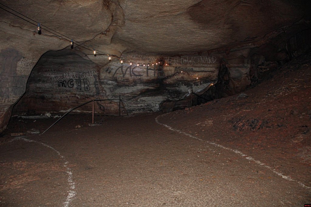 Picture 35