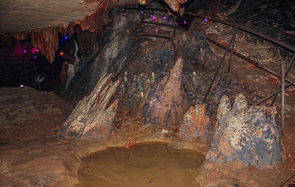 Picture 20