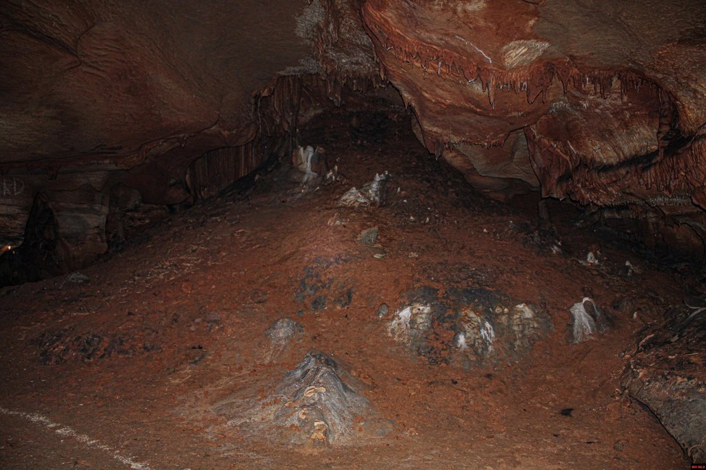 Picture 26