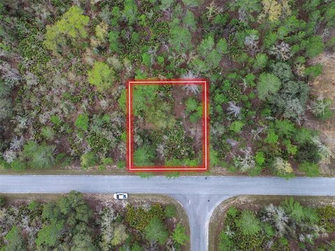 Wooded Residential Lot Near Ocala