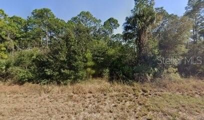 Residential Lot in Growing Neighborhood