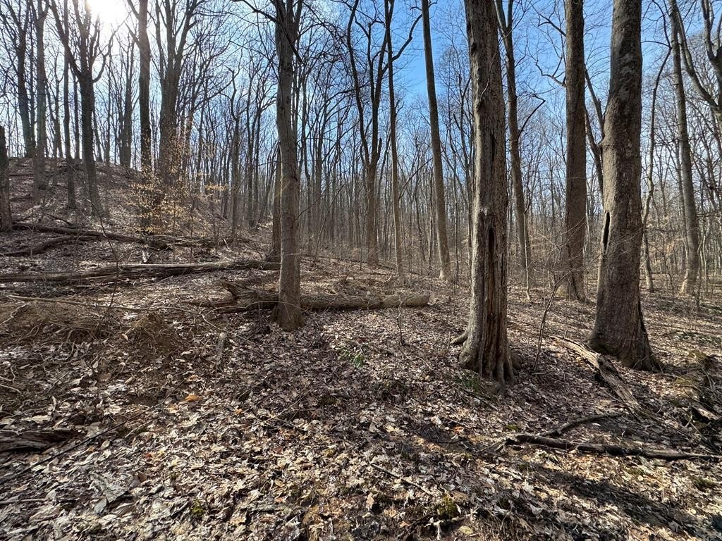 Hillsboro, KY Recreational Hunting Land