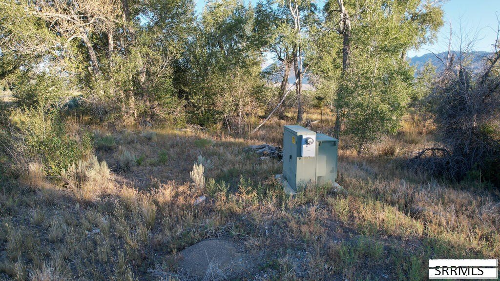 Picture 15