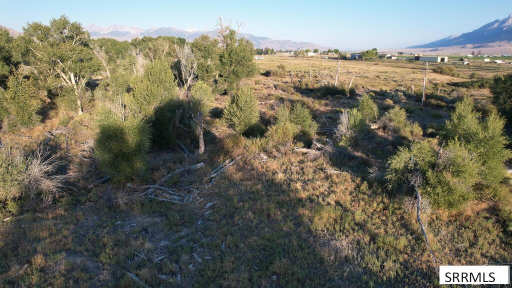 Picture 10