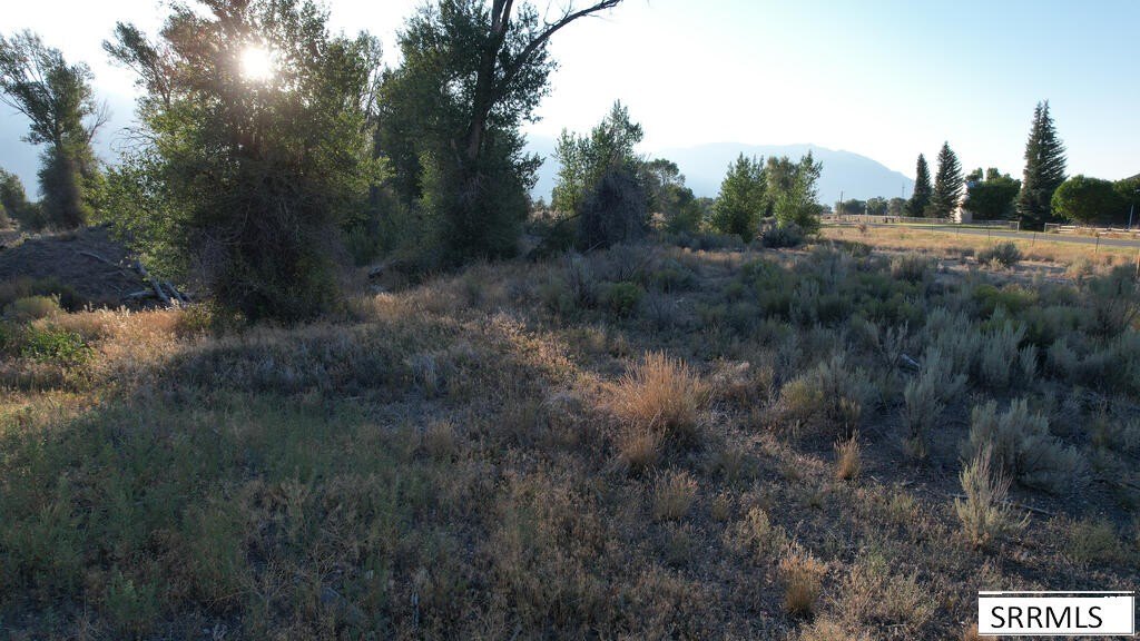 Picture 17