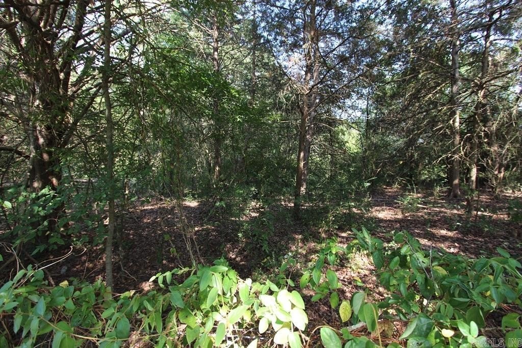 Picture 3