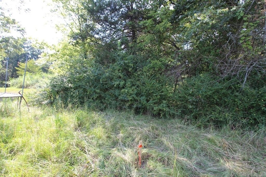 Picture 7
