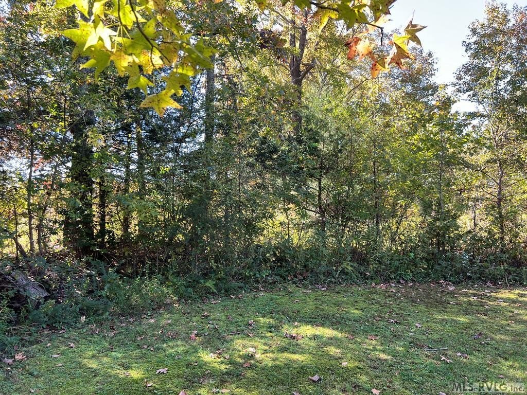 Picture 23