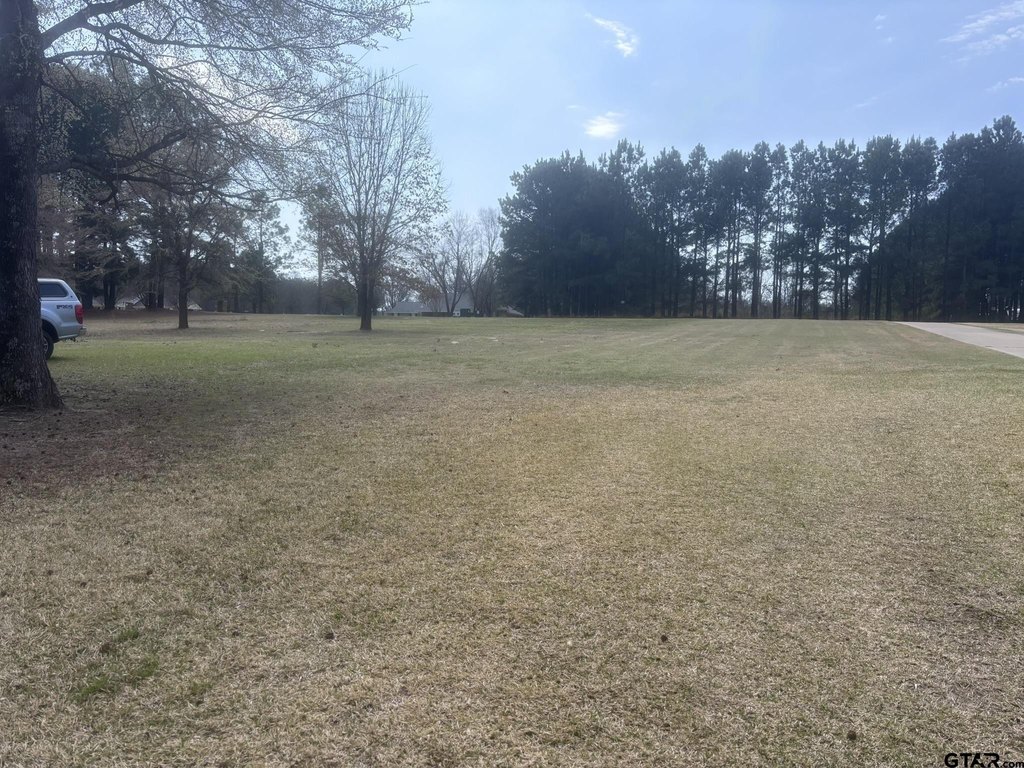 Picture 19