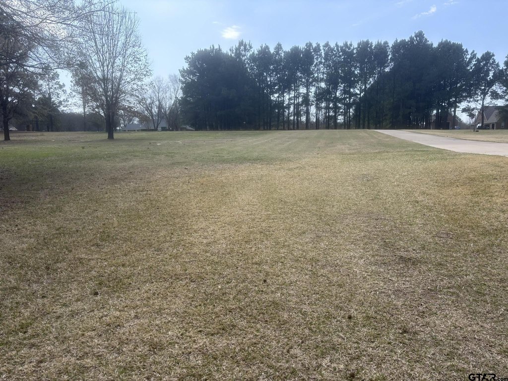 Picture 21