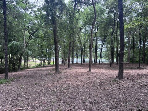 Land, Alba, TX