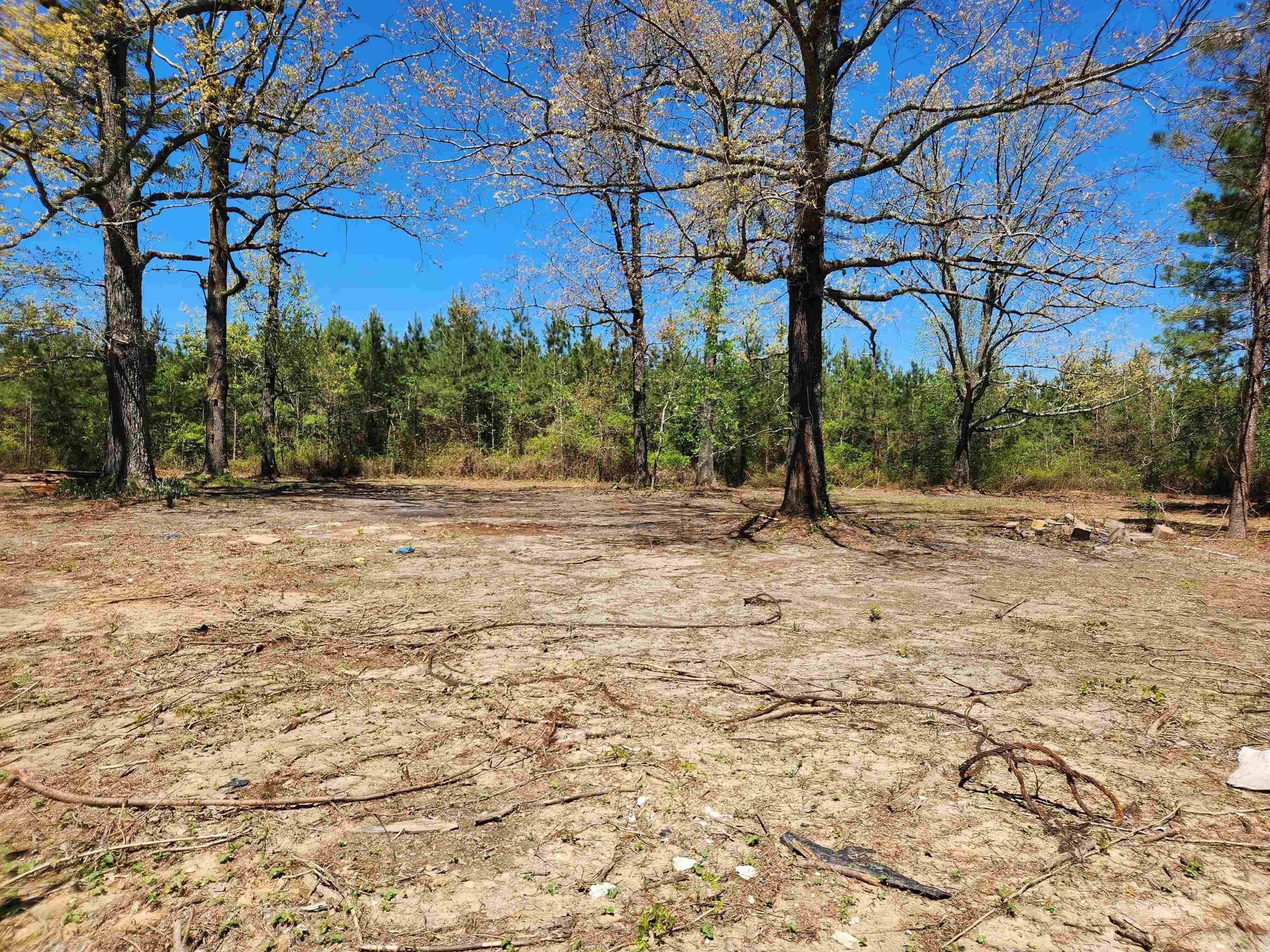 40 Acres of Scenic Land