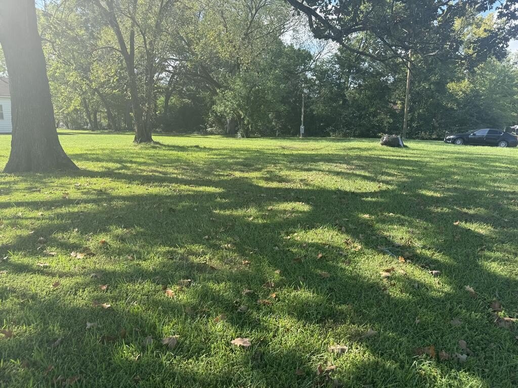 Picture 5