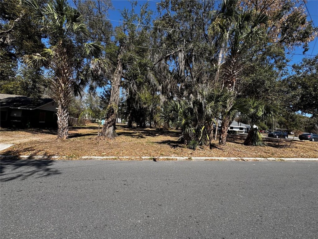Picture 5