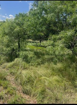 Lake Brownwood RV Lot
