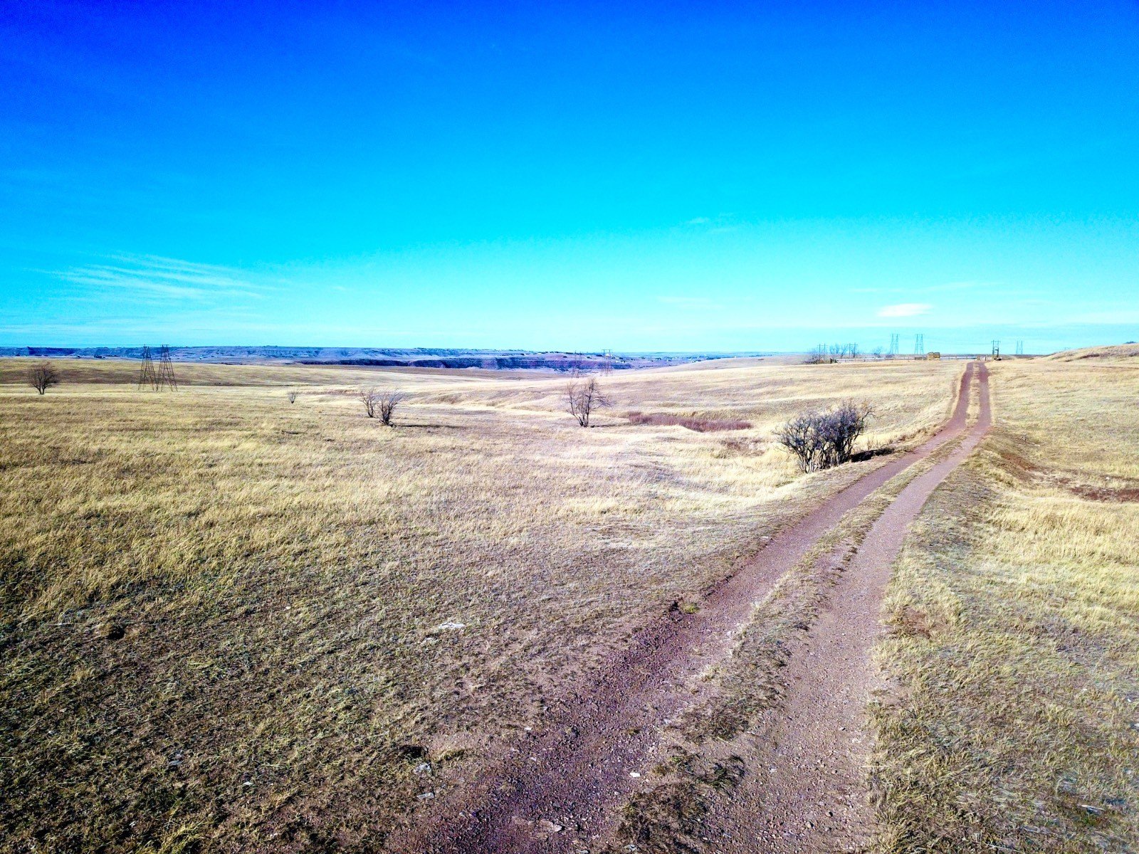 Montana Farm and Estate Opportunity