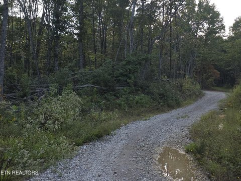 Lots & Acreage, Sunbright, TN