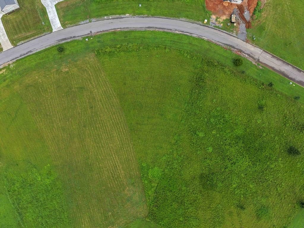 Picture 15