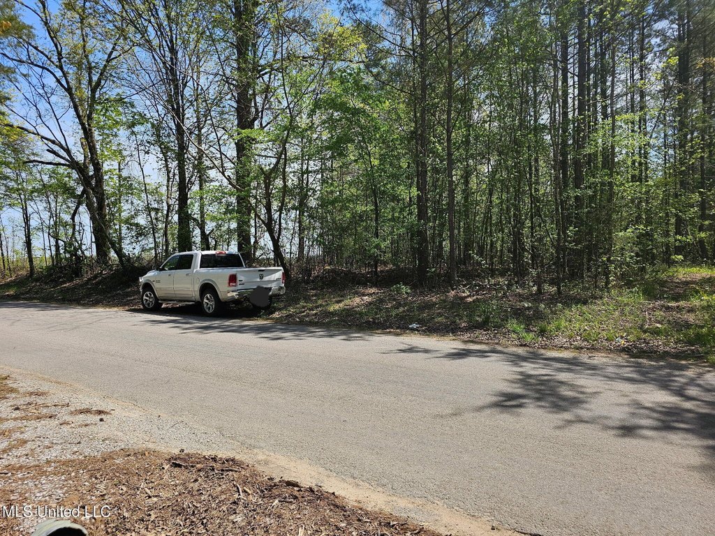 Picture 5