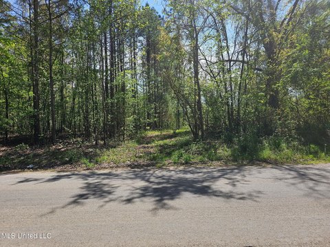 Land, Ripley, MS
