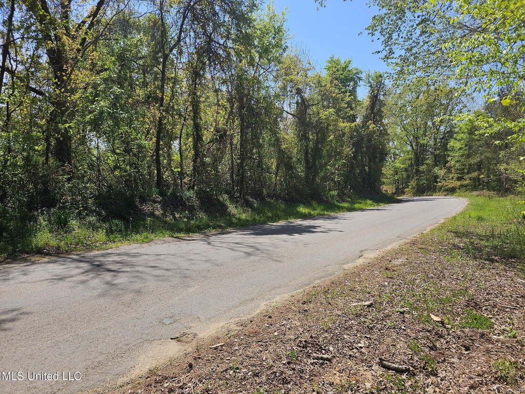 Picture 6