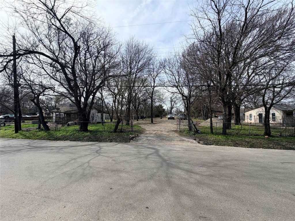 Picture 5