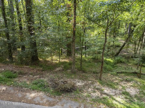 Residential Land in Clinton, MS
