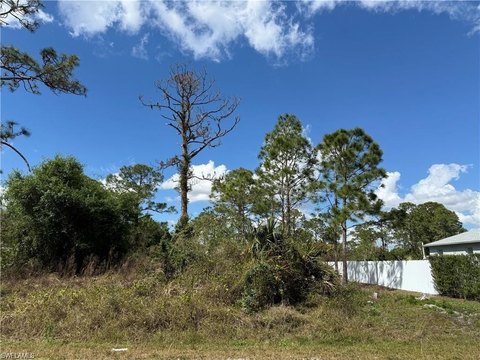 Land, LEHIGH ACRES, FL