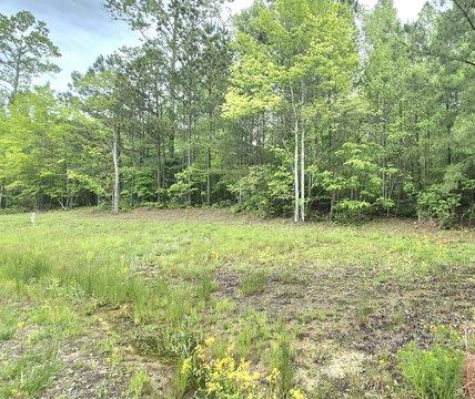 Secluded Lot in Jasper Highlands