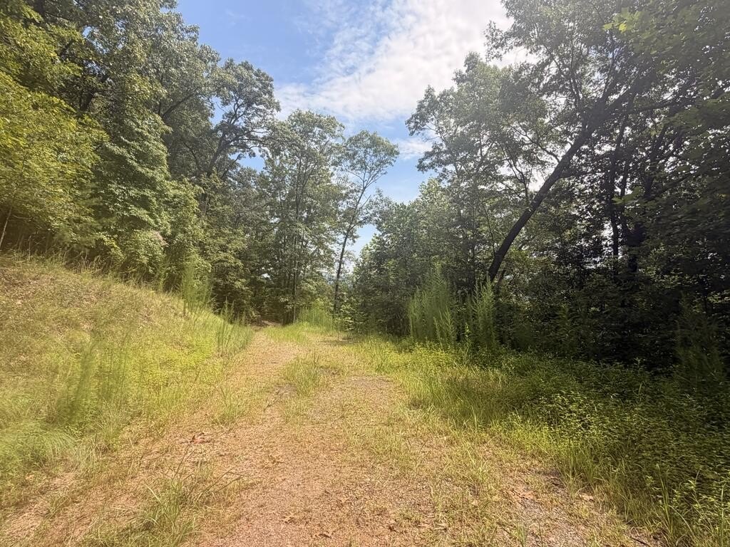 Picture 29