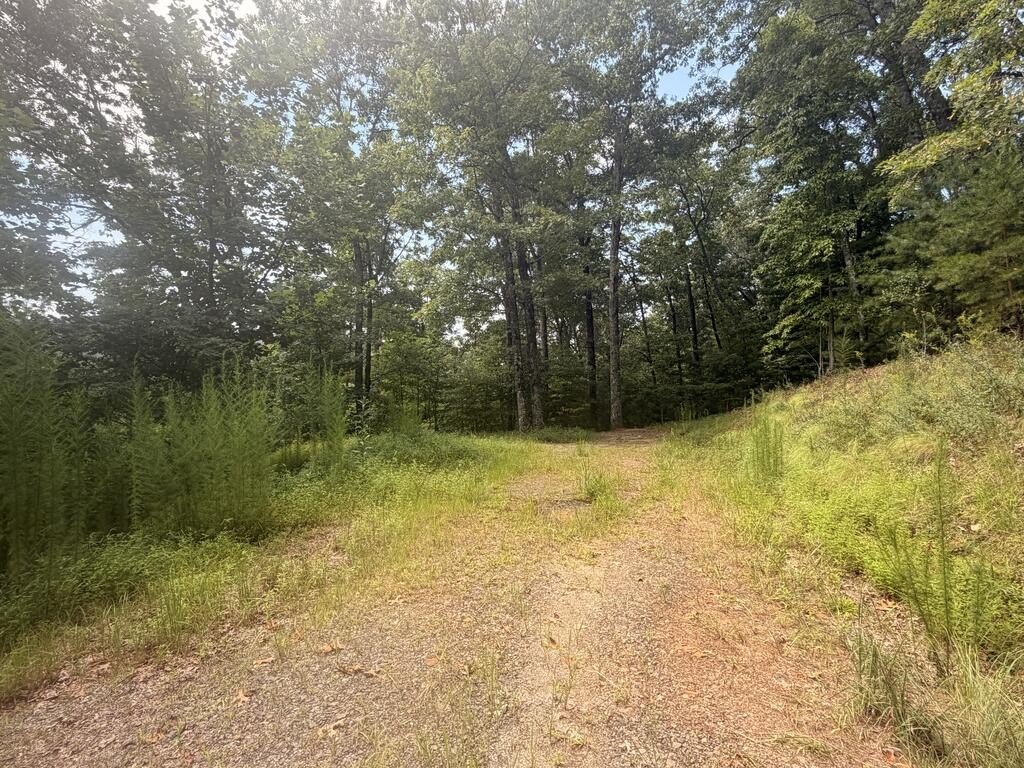 Picture 28