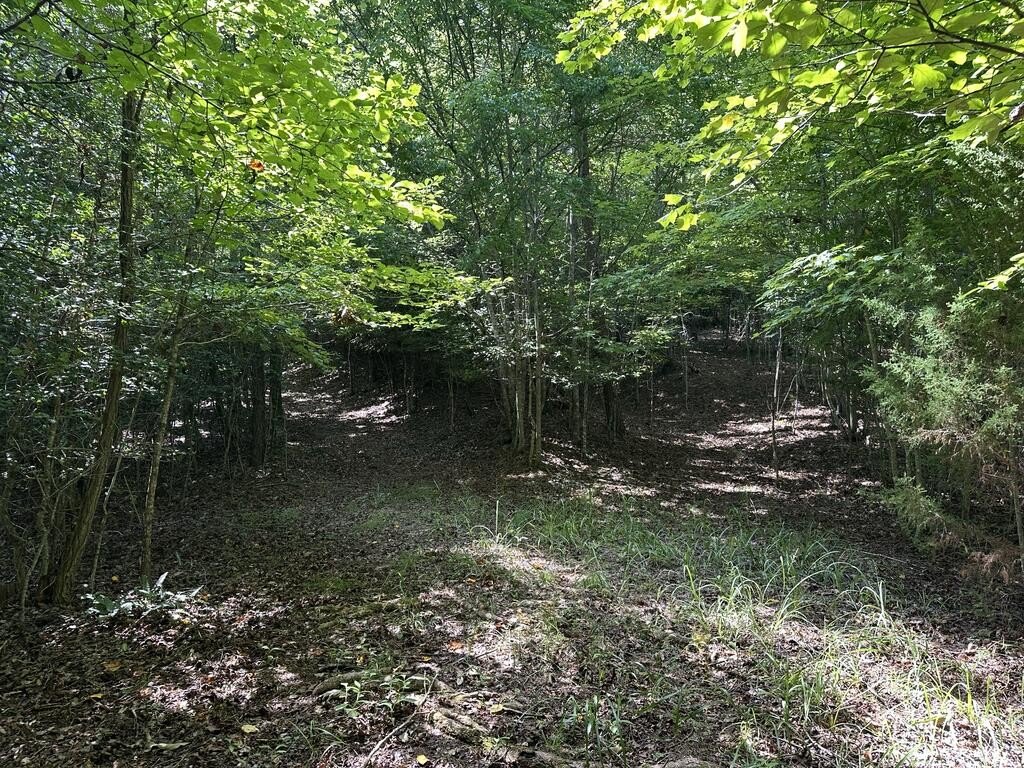 Picture 10