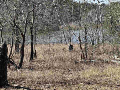 Waterfront Land in Brookeland, Texas