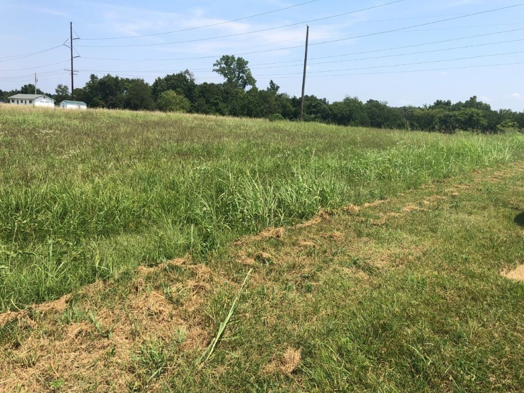 Flat Corner Lot in Bella Vista