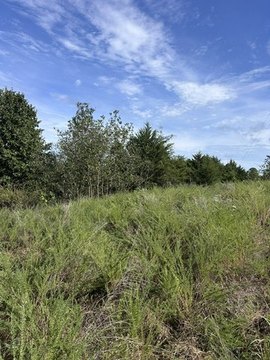 Land, Springdale, AR