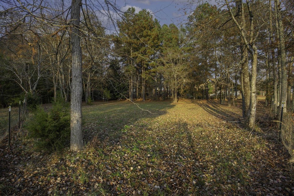 Picture 41