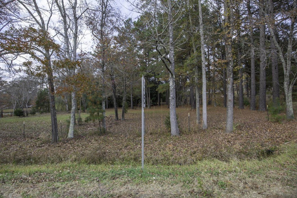 Picture 38