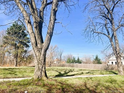 Detroit Land Opportunity Near Downtown