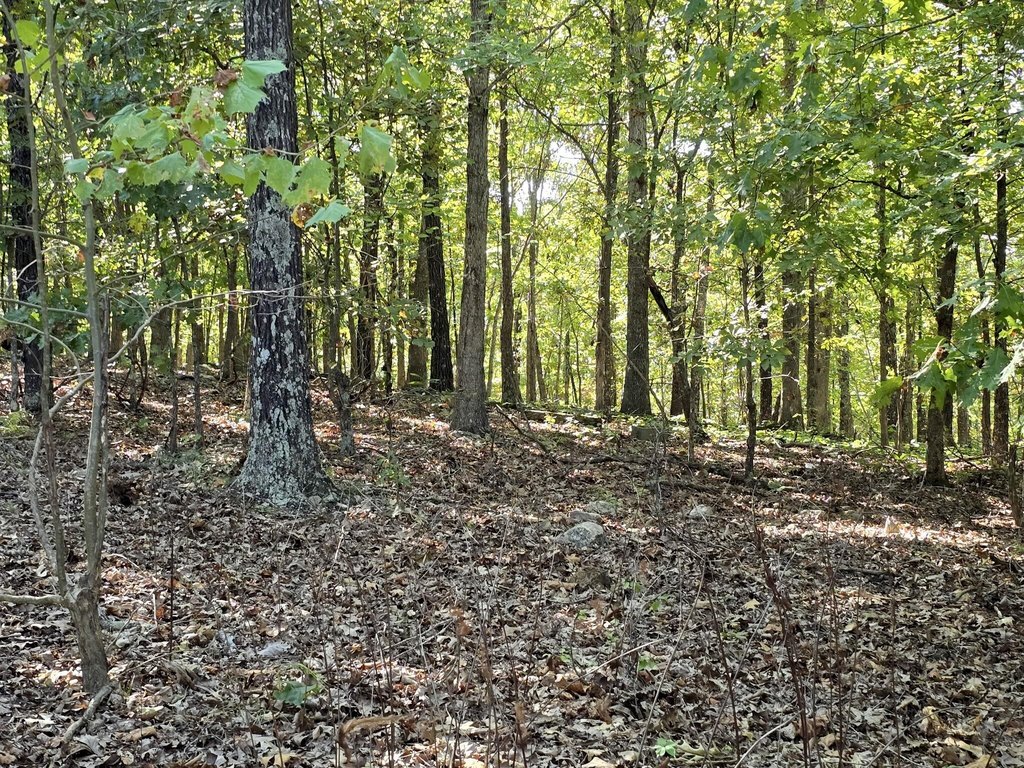 Picture 18
