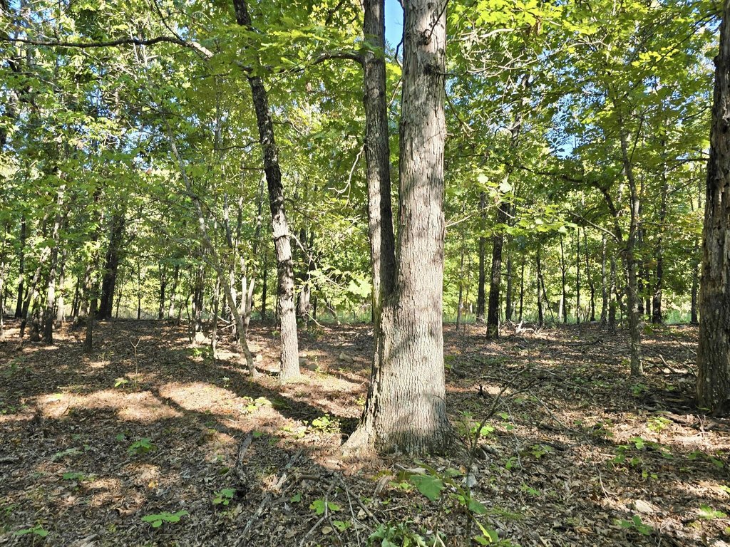 Picture 16