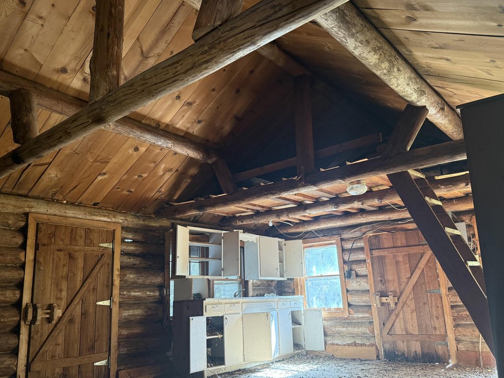 Picture 7