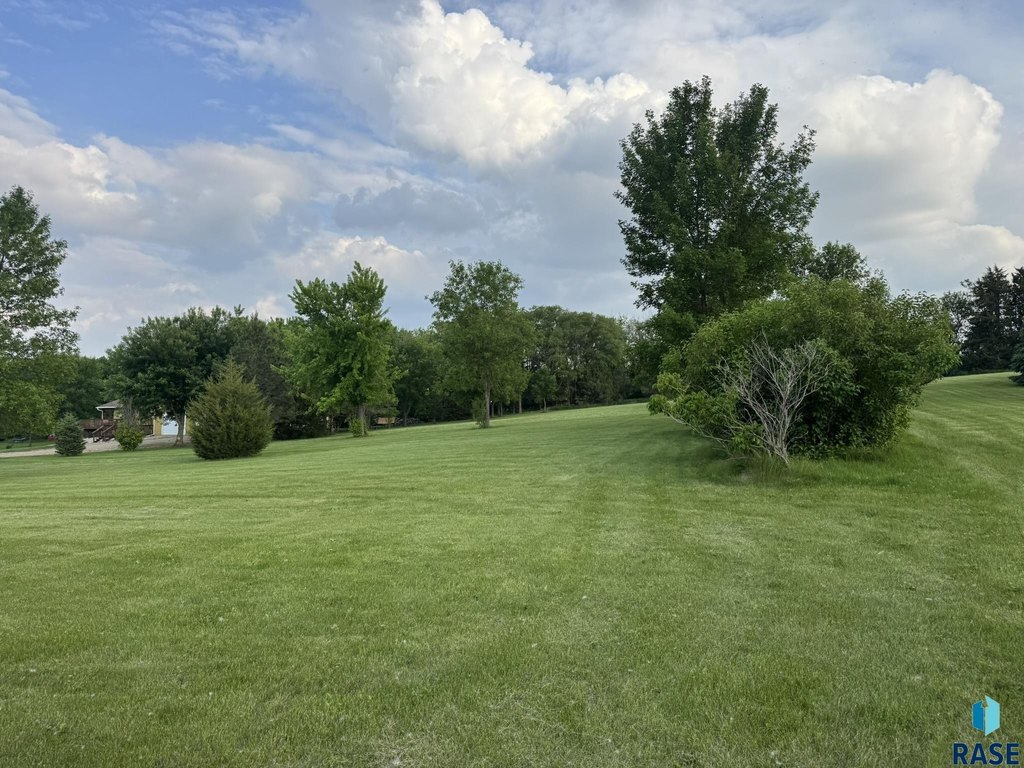 Picture 23