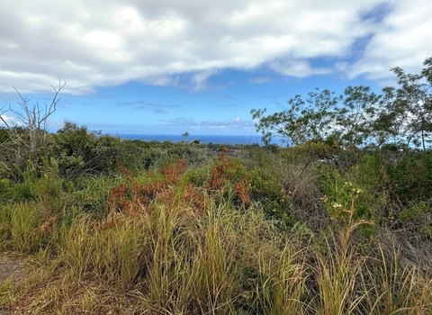 Land, Ocean View, HI
