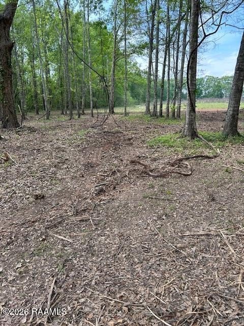 Arnaudville Land on Bayou Teche