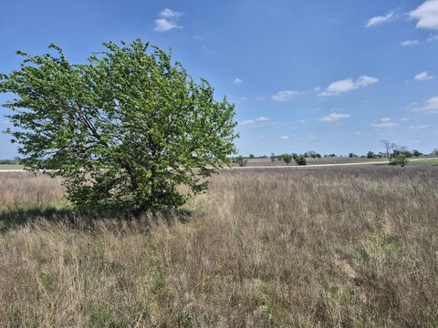 10 Acres of Open Land
