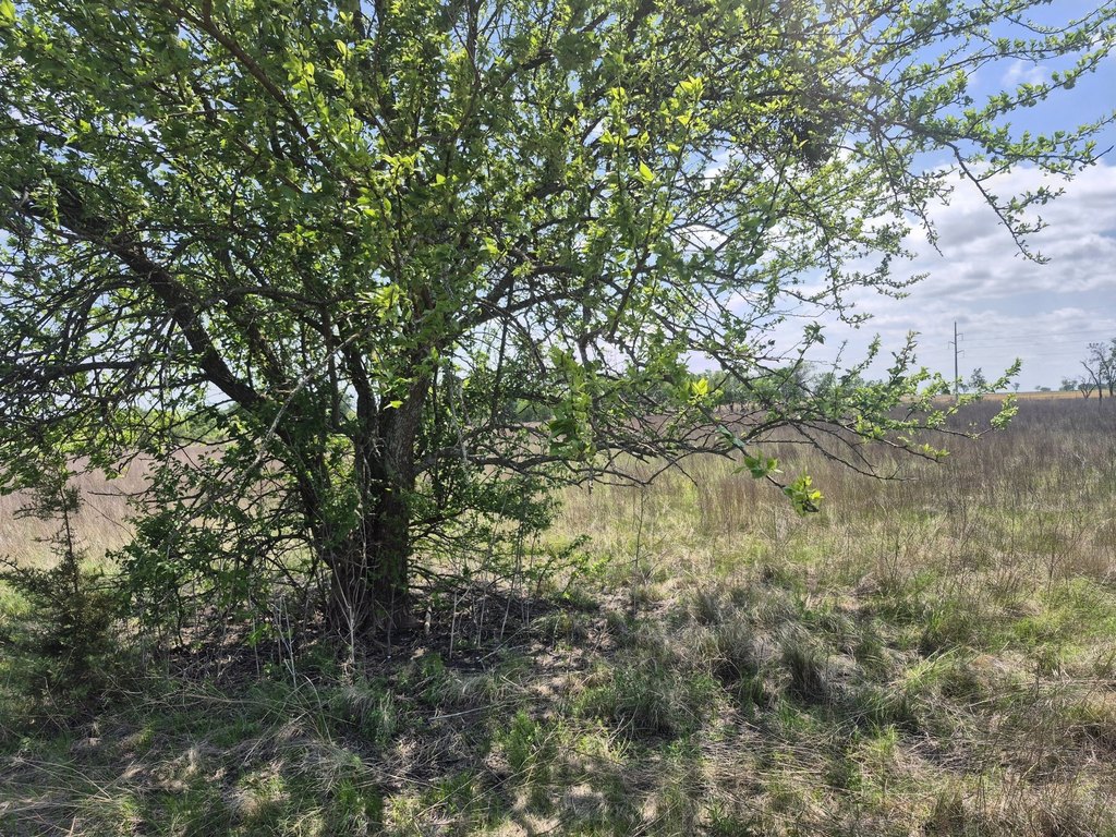 Picture 5