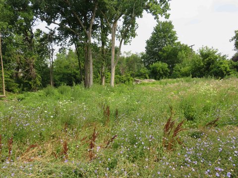 Residential Lot in Fraser, MI