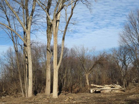 Residential Lot in Fraser, MI